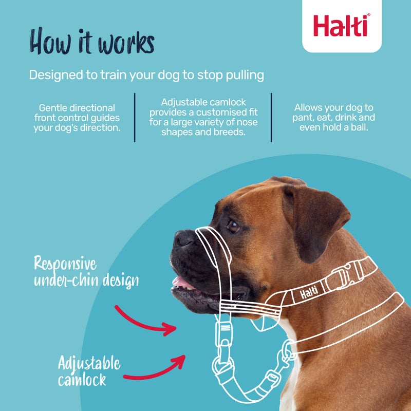 HALTI Optifit Headcollar - To Stop Your Dog Pulling on the Leash. Adjustable, Reflective and Lightweight, with Padded Nose Band. Dog Training Anti-Pull Collar for Medium Dogs (Size Medium) - Image 2