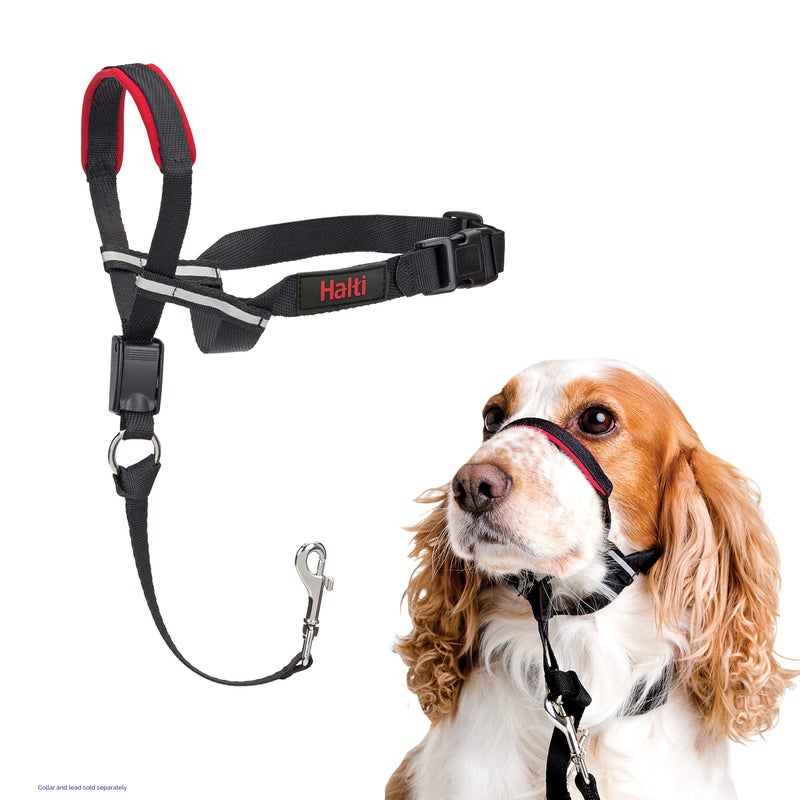 HALTI Optifit Headcollar - To Stop Your Dog Pulling on the Leash. Adjustable, Reflective and Lightweight, with Padded Nose Band. Dog Training Anti-Pull Collar for Medium Dogs (Size Medium) - Image 1