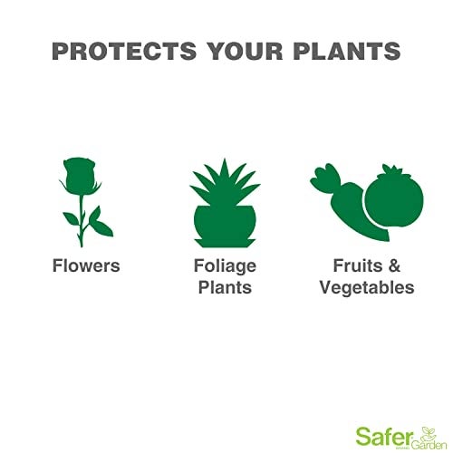 Safer Brand Garden SG5450 Fungicide Ready-to-Use Spray – Prevents & Controls Powdery Mildew, Black Spot, Leaf Spot & Rust – OMRI Listed for Organic Gardening – 24 oz - Image 3