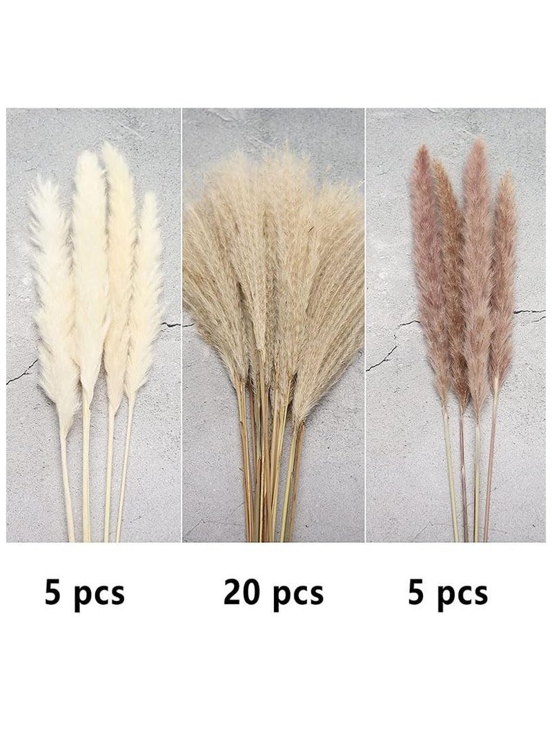 Generic Natural Dried Pampas Grass Bouquet Brown White Reed Pampas Floral Arrangements Decorations for Home Room Office Party Decor (60PCS)  - Image 5