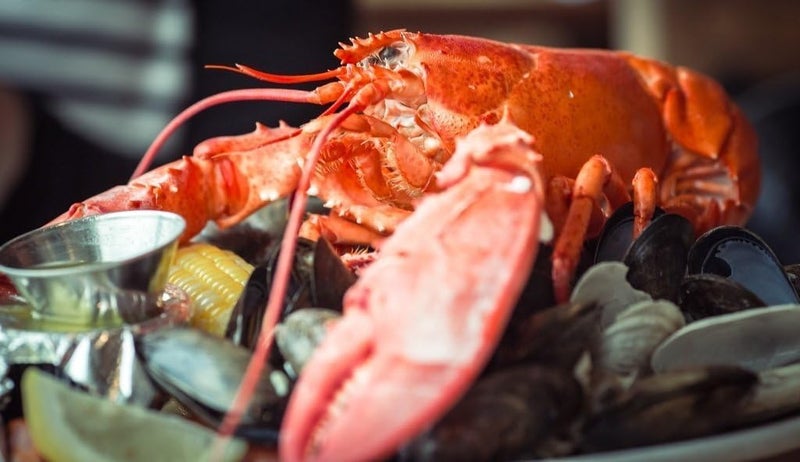 Gmark 100 Pack Disposable Plastic Lobster Bibs Crawfish Bibs - Keep Clothing Clean - Great for restaurants, lobster, seafood or crawfish party GM1066A - Image 4