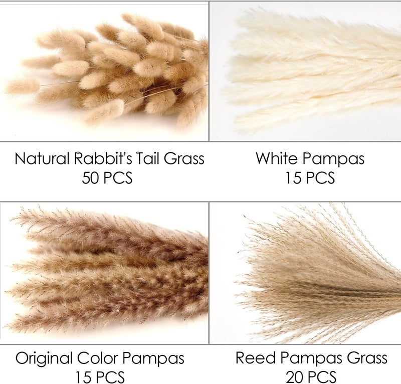 ROROUNE 100 Pcs Dried Pampas Grass Decor - 4 Various Natural Pampas Grass Contains Bunny Tails Dried Flowers, Reed Grass Bouquet for Wedding Boho Flowers Home Party Table Rustic Farmhouse Decor (17 inch) - Image 2