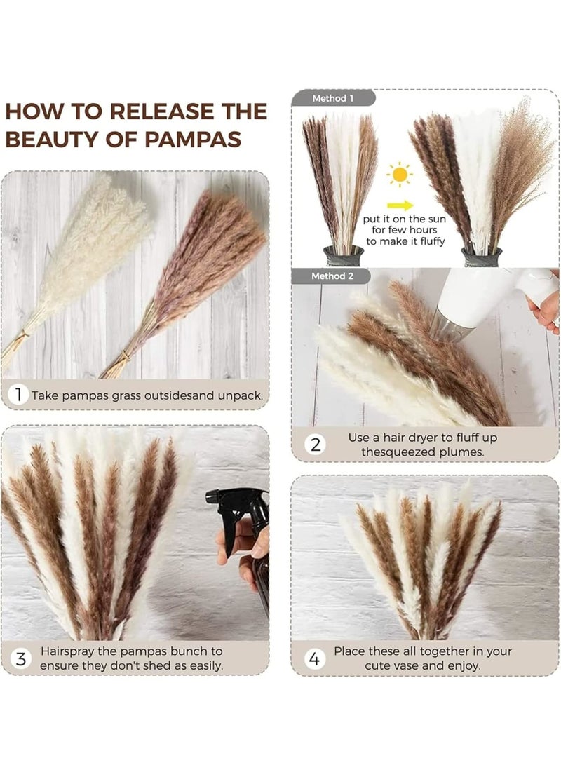 SOLARAE نبات البامباس المجفف الطبيعي، ديكور بوهيمي، عشب أبيض رقيق، ذيل أرنب كبير، ساق قمح مزخرف، ريش إيطالي روسكوس، باقة زهور سوليداجو جولدنرود (الأسلوب 1) - Image 4