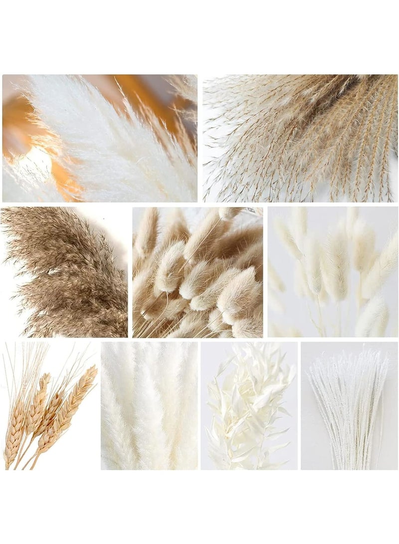SOLARAE نبات البامباس المجفف الطبيعي، ديكور بوهيمي، عشب أبيض رقيق، ذيل أرنب كبير، ساق قمح مزخرف، ريش إيطالي روسكوس، باقة زهور سوليداجو جولدنرود (الأسلوب 1) - Image 2