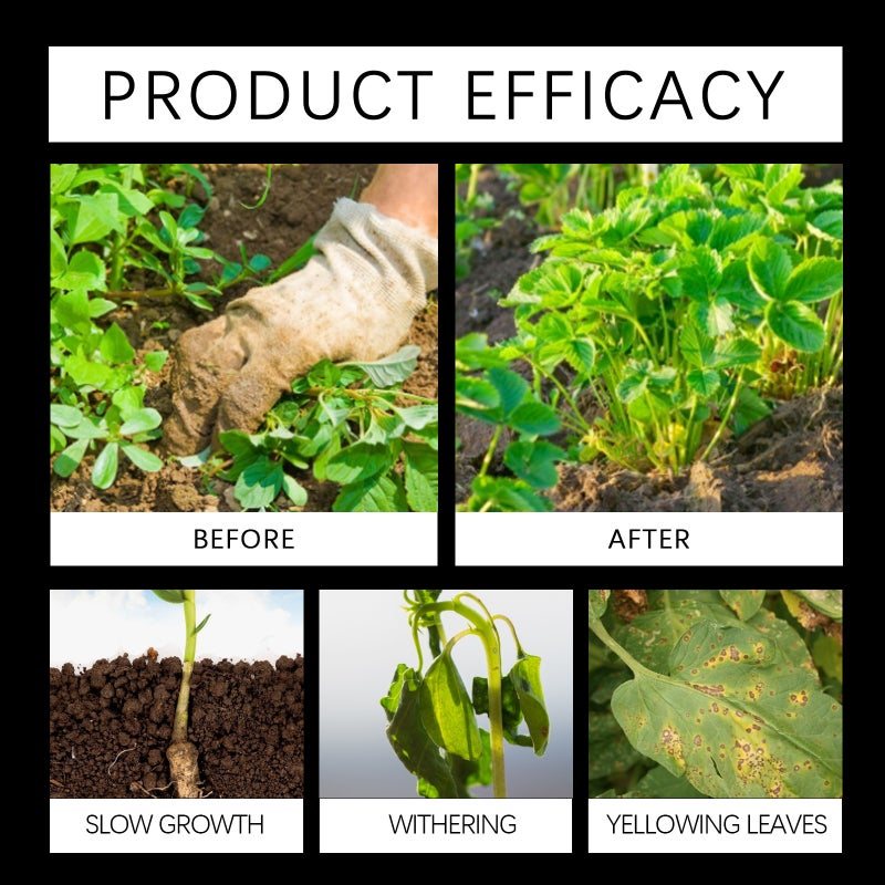 MOONSPRY Plant Rooting Powder,Premium Organic Soil Activator Activated Baosong Soil Essence Flower Fertilizer - Image 5
