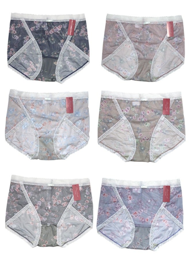 Royee 6PCS Women Underwear Hipster Panties, Soft Lace Trim Briefs Breathable Bikini Undies  - Image 1