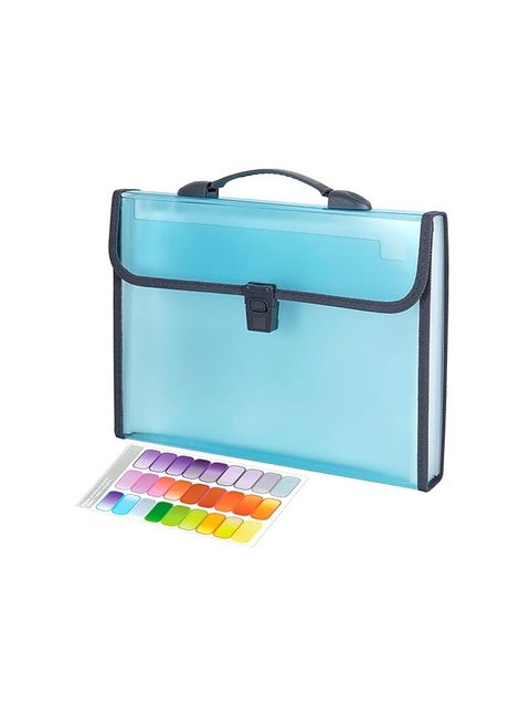 13 Pockets Expanding File Folder, A4/Letter Size Document Organizer with Handle & Buckle Closure, Accordion Filing Box for Paper Bill Receipt Documents for school office home