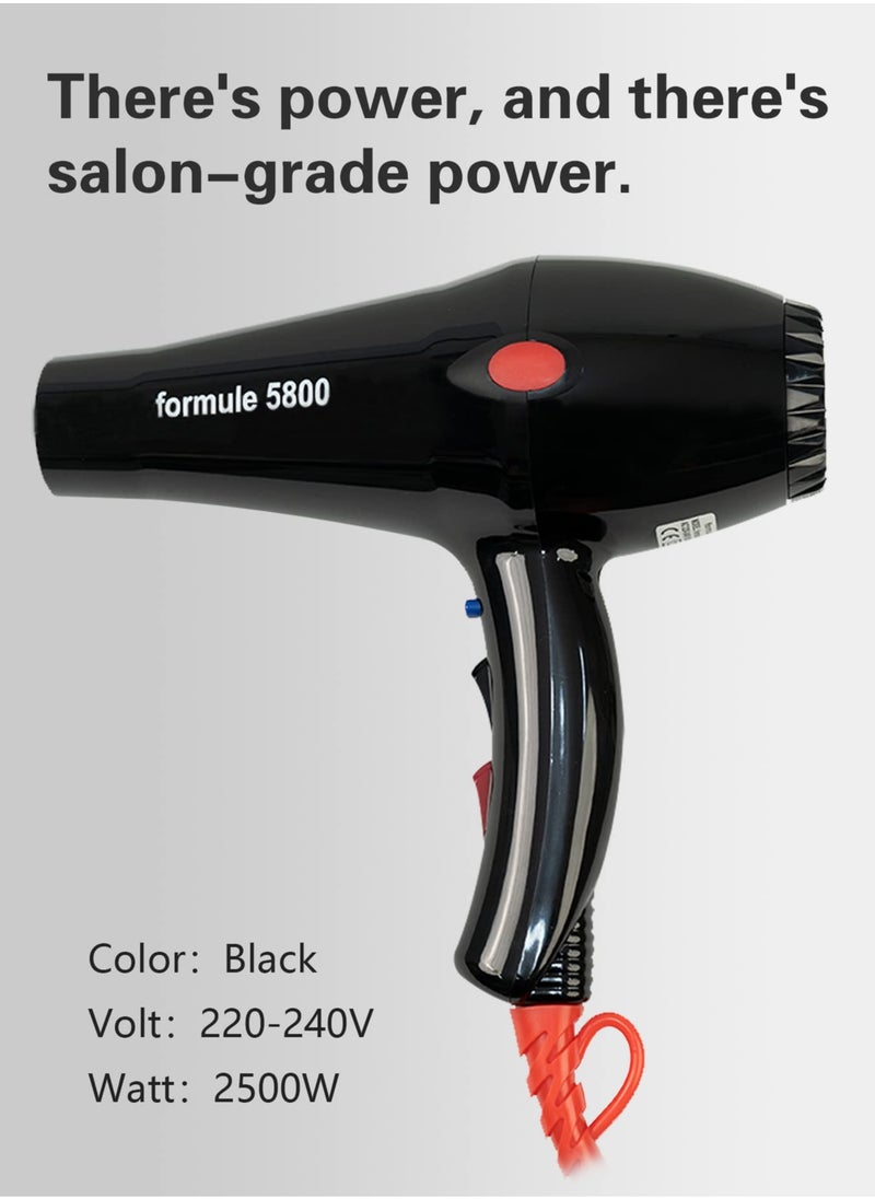 Hair Dryer Powerful Blow Dryer for Personal and Salon Use 2500W Black