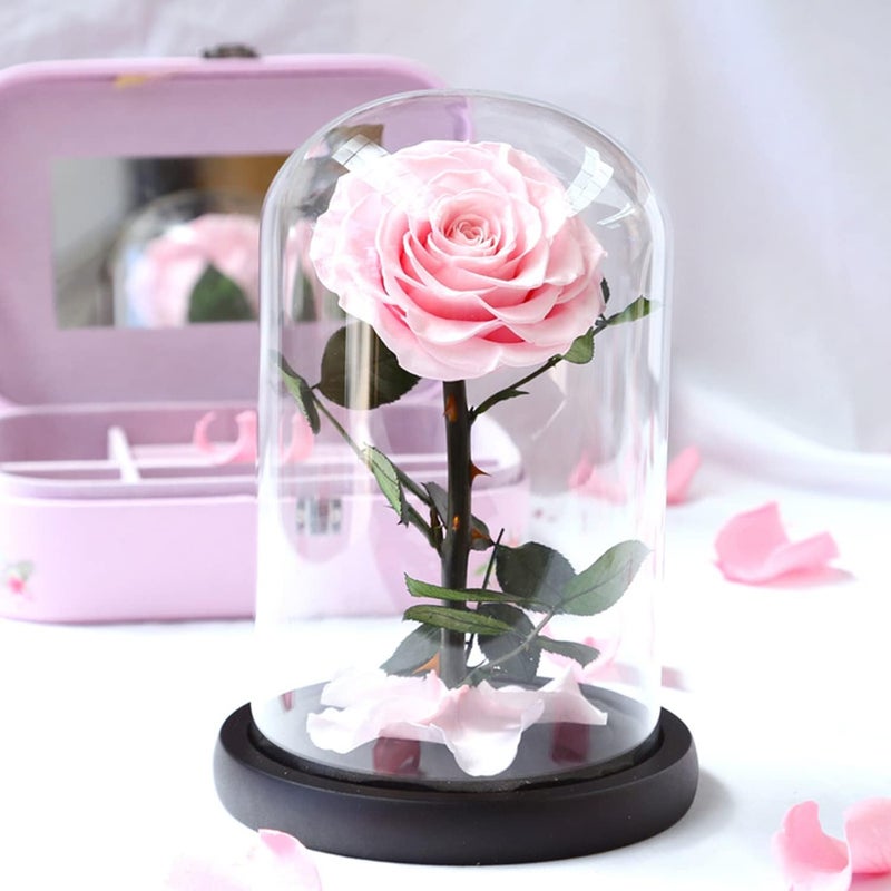 Moonmen Large-size Forever Rose, Real Eternal Rose in Glass Dome Preserved Flower with Luxury Gift Box - Gift for Valentine's Day Mother's Day Wedding Anniversary Birthday (Pink) - Image 4