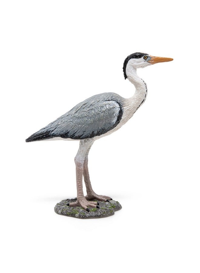 Papo Papo -Hand-Painted - Figurine -Wild Animal Kingdom -Grey Heron -50274 -Collectible - for Children - Suitable for Boys and Girls- from 3 Years Old - Image 3