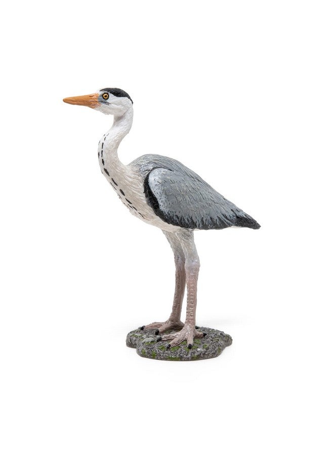 Papo Papo -Hand-Painted - Figurine -Wild Animal Kingdom -Grey Heron -50274 -Collectible - for Children - Suitable for Boys and Girls- from 3 Years Old - Image 5