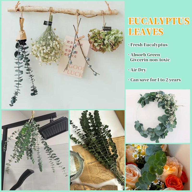 Eslibin 21 Pcs Real Dried Eucalyptus Stems, 17" Natural Fresh Eucalyptus Branches for Shower, Greenery Leaves for Vase Filler, Fragrance, Fresh Silk Dry Live Plants Decor - Image 4