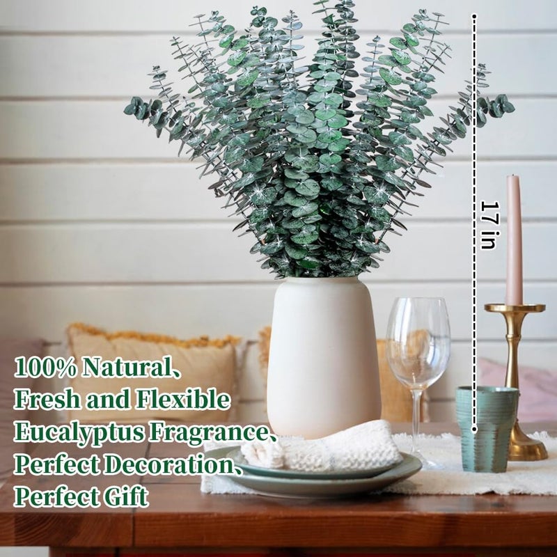 Eslibin 21 Pcs Real Dried Eucalyptus Stems, 17" Natural Fresh Eucalyptus Branches for Shower, Greenery Leaves for Vase Filler, Fragrance, Fresh Silk Dry Live Plants Decor - Image 5