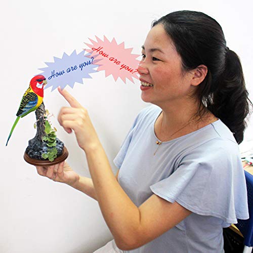 Tipmant Eelctric Birds Talking Parrots Electronic Pets Office Home Decoration Recording Playback Function Pen Holders Kids Toys Single Parrot - Image 5