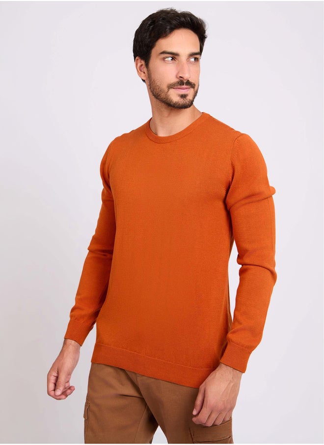 DALYDRESS - Men Regular Fit Pullover - Orange - Image 1