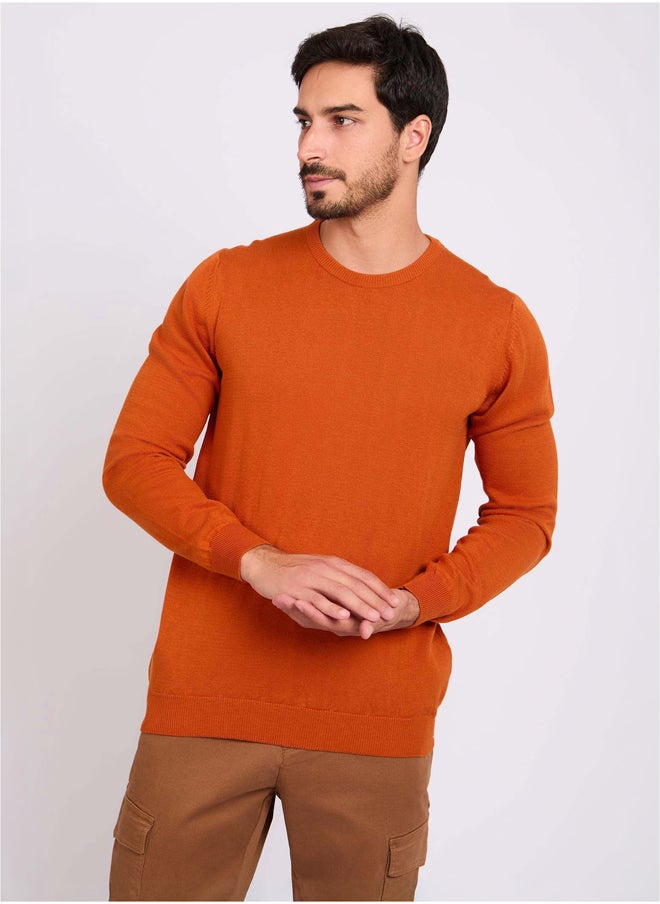 DALYDRESS - Men Regular Fit Pullover - Orange - Image 1