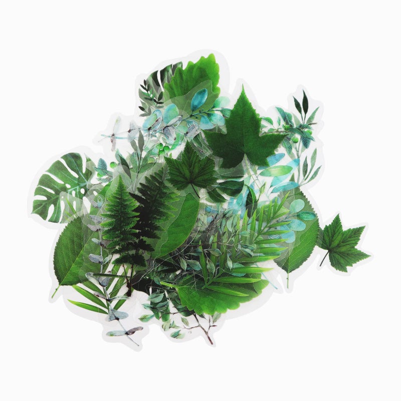 Modixun Modixun 160pcs Flower Plant Stickers20 Patterns PET Transparent Decorative Stickers Floral Scrapbooking for Craft Album Journal Style C 