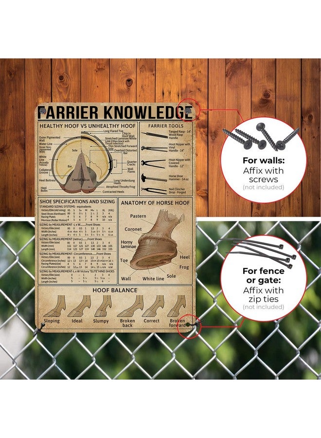 HYBLOM Farrier Knowledge Horse Hoof Anatomy Tin Sign - Educational Retro Metal Poster for Horse Lovers, Cowboy, Home, School, Farm, and Club Wall Decor, 12x16 Inches - Image 4