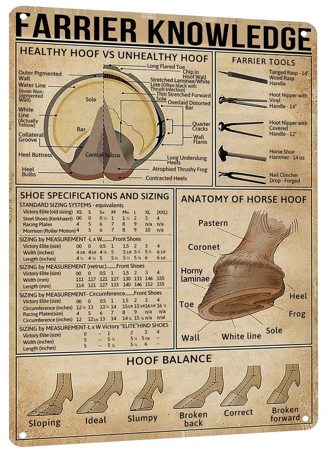 HYBLOM Farrier Knowledge Horse Hoof Anatomy Tin Sign - Educational Retro Metal Poster for Horse Lovers, Cowboy, Home, School, Farm, and Club Wall Decor, 12x16 Inches - Image 1
