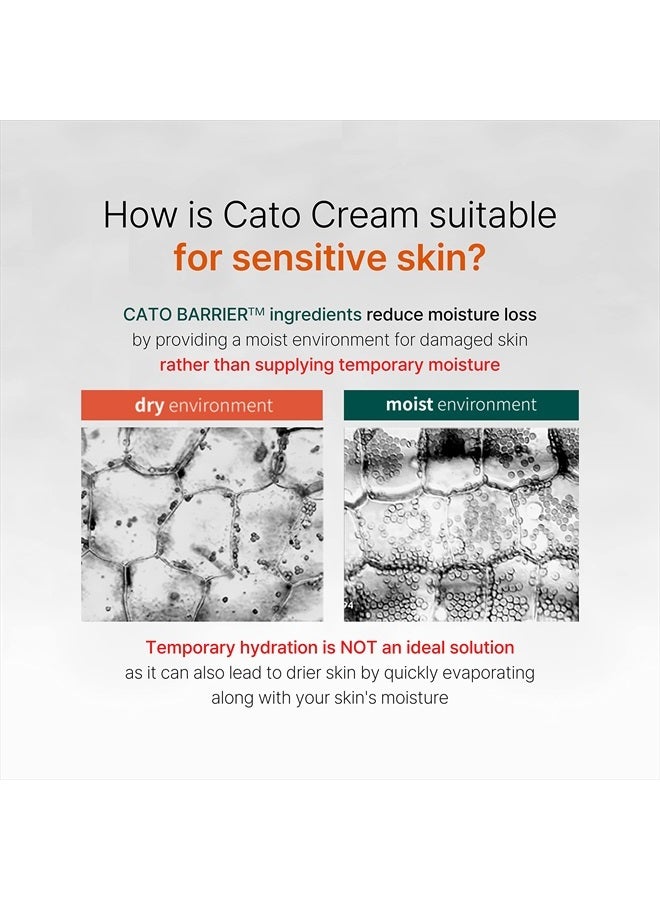 P.CALM كريم الوجه النباتي كاتو خفيف الوزن غير لزج ترطيب مكثف مرطب عميق للوجه غير دهني لتقوية الحاجز للبشرة الحساسة والجافة والمعرضة لحب الشباب والدهنية من بي.كالم للعناية بالبشرة الكورية - Image 5