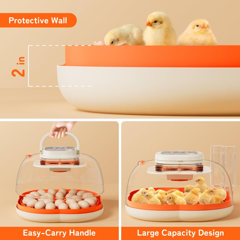 Apdoe 25 Egg Incubator, Extra-Large Interior with High Protective Wall, Top Carry Handle, Automatic Egg Turner, Preset Incubation Period, Auto Water Refill, for Chicken, Quail & Duck Eggs, APDOE HatchPro 25 - Image 2
