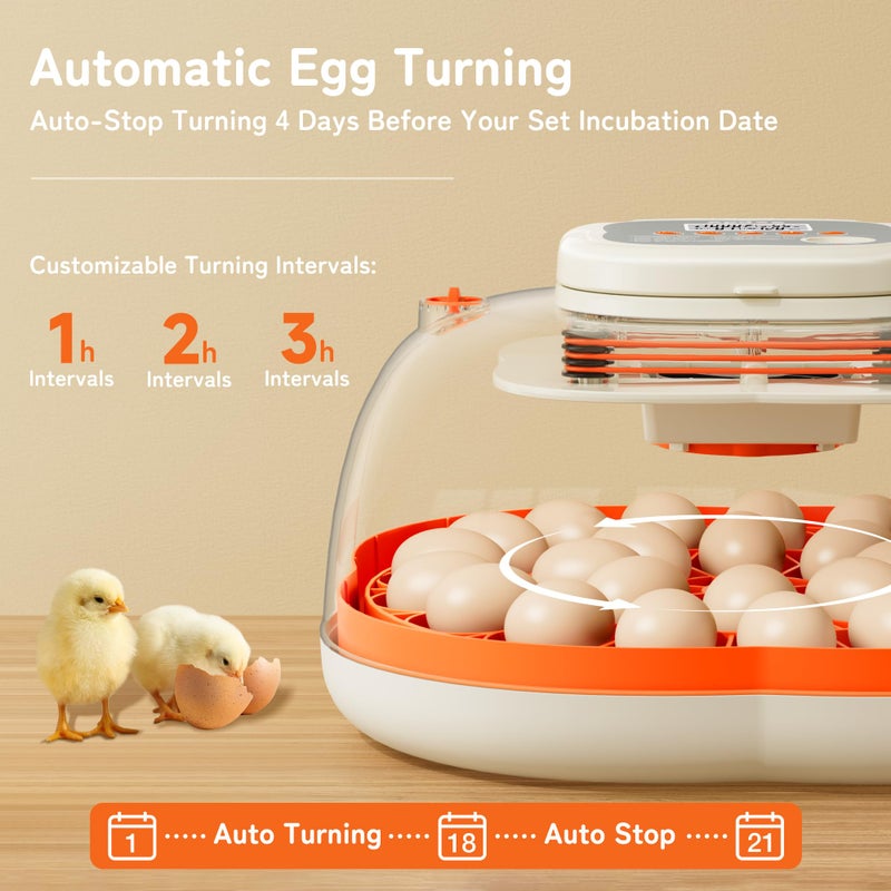 Apdoe 25 Egg Incubator, Extra-Large Interior with High Protective Wall, Top Carry Handle, Automatic Egg Turner, Preset Incubation Period, Auto Water Refill, for Chicken, Quail & Duck Eggs, APDOE HatchPro 25 - Image 5