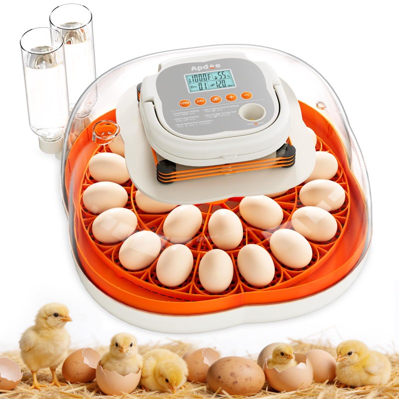 Apdoe 25 Egg Incubator, Extra-Large Interior with High Protective Wall, Top Carry Handle, Automatic Egg Turner, Preset Incubation Period, Auto Water Refill, for Chicken, Quail & Duck Eggs, APDOE HatchPro 25 - Image 1