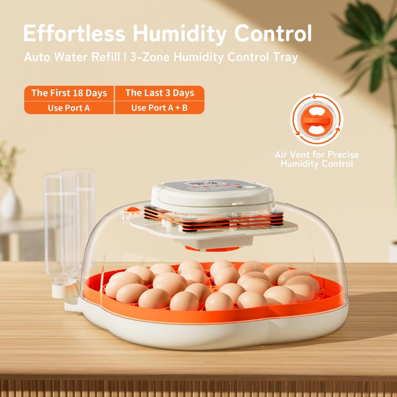 Apdoe 25 Egg Incubator, Extra-Large Interior with High Protective Wall, Top Carry Handle, Automatic Egg Turner, Preset Incubation Period, Auto Water Refill, for Chicken, Quail & Duck Eggs, APDOE HatchPro 25 - Image 4