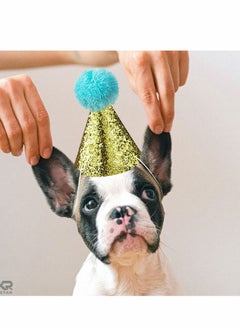 Excefore Cat Birthday Hat and Dog Hat, 2 Pieces Cute Reusable Pet Headwear, Decorations for Parties - Party Supplies(Gold Pink)  - Image 5