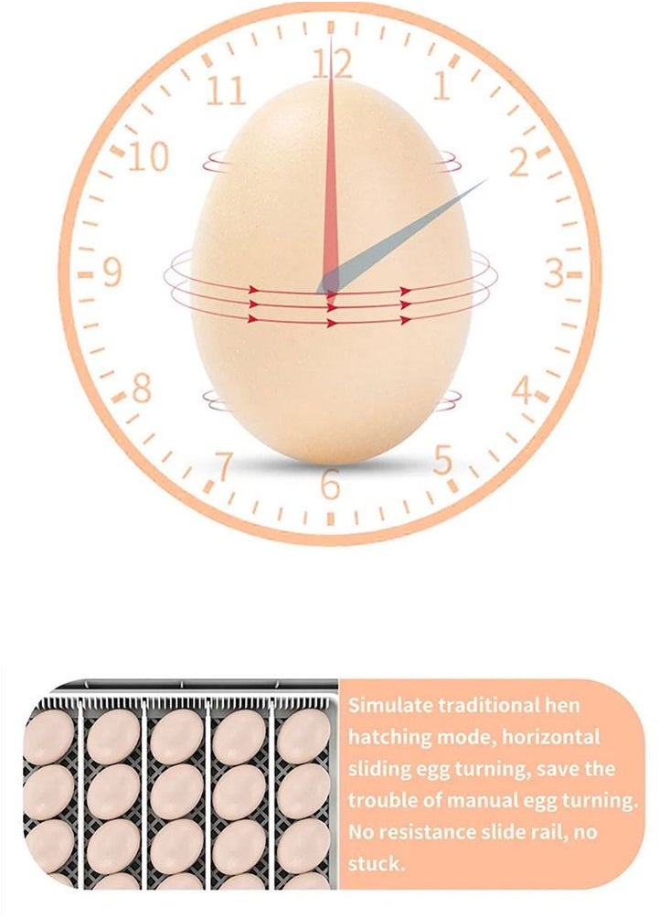 CATANES - Visible Transparent 20 Eggs Hatcher Machine Temperature Control with Humidity Display Bird Eggs Incubator - Image 1