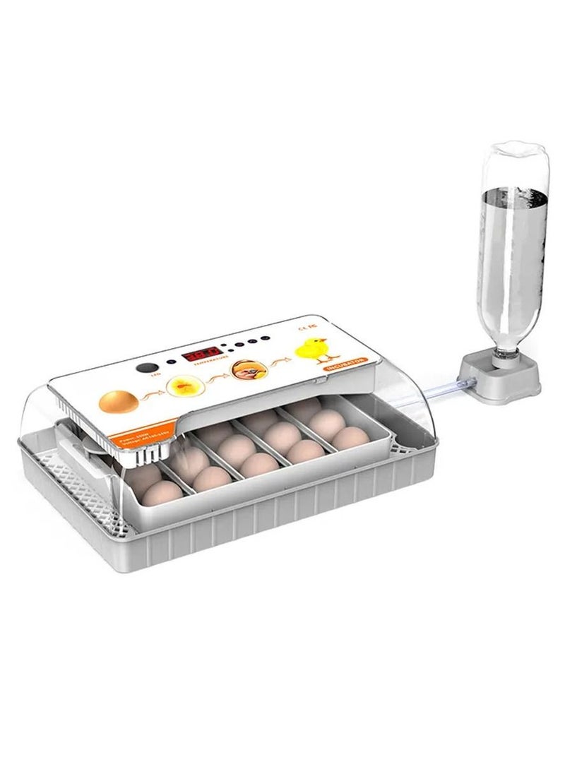 CATANES - Visible Transparent 20 Eggs Hatcher Machine Temperature Control with Humidity Display Bird Eggs Incubator - Image 1