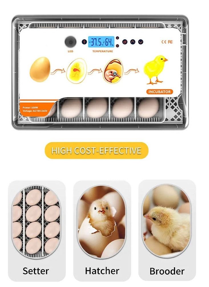 CATANES - Visible Transparent 20 Eggs Hatcher Machine Temperature Control with Humidity Display Bird Eggs Incubator - Image 1