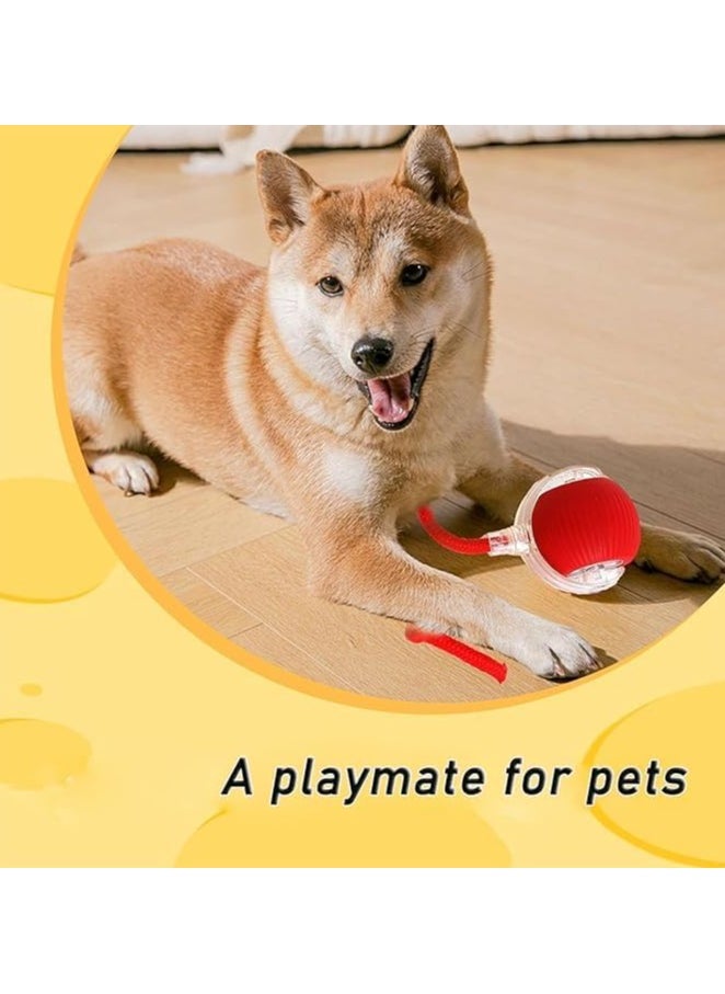 Generic - Chewie Viral Rolling Ball Dog Toy, Self Rolling Dog Ball Interactive Cat Toys, Chewie Smart Automatic Rolling Pet Ball for Large Small Dogs Motion Activated (Red) - Image 1