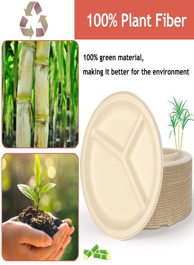 Extrapins 125 Pack 3 Compartment Paper Plates,Compostable Plates,Disposable Paper Plate,9 Inch Heavy Duty Biodegradable Plate for Daily Meals,Food Grade Sugar Cane Fiber - Image 3