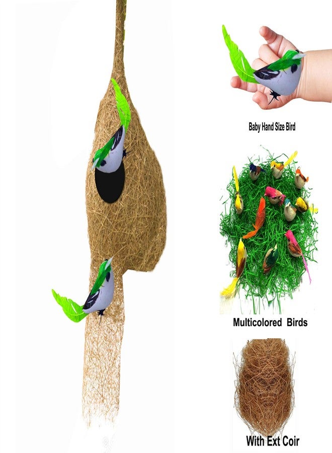 LIVEONCE Weaver Bird nest with Two Birds,Material Type -Coir,Color -Brown, Size (H 28 cm,Diameter 15 cm), Set of 1 - Image 2