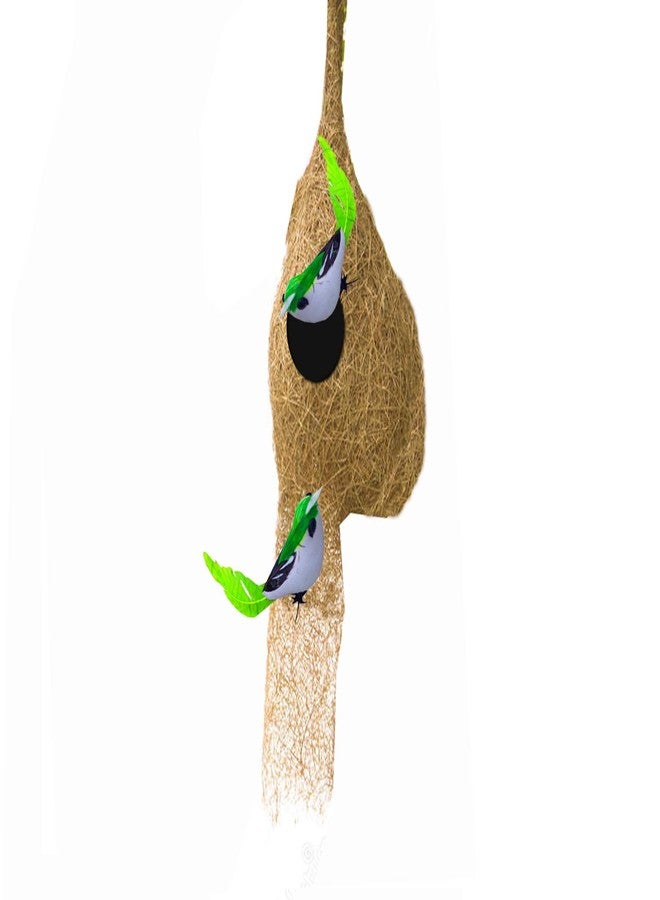 LIVEONCE Weaver Bird nest with Two Birds,Material Type -Coir,Color -Brown, Size (H 28 cm,Diameter 15 cm), Set of 1 - Image 1