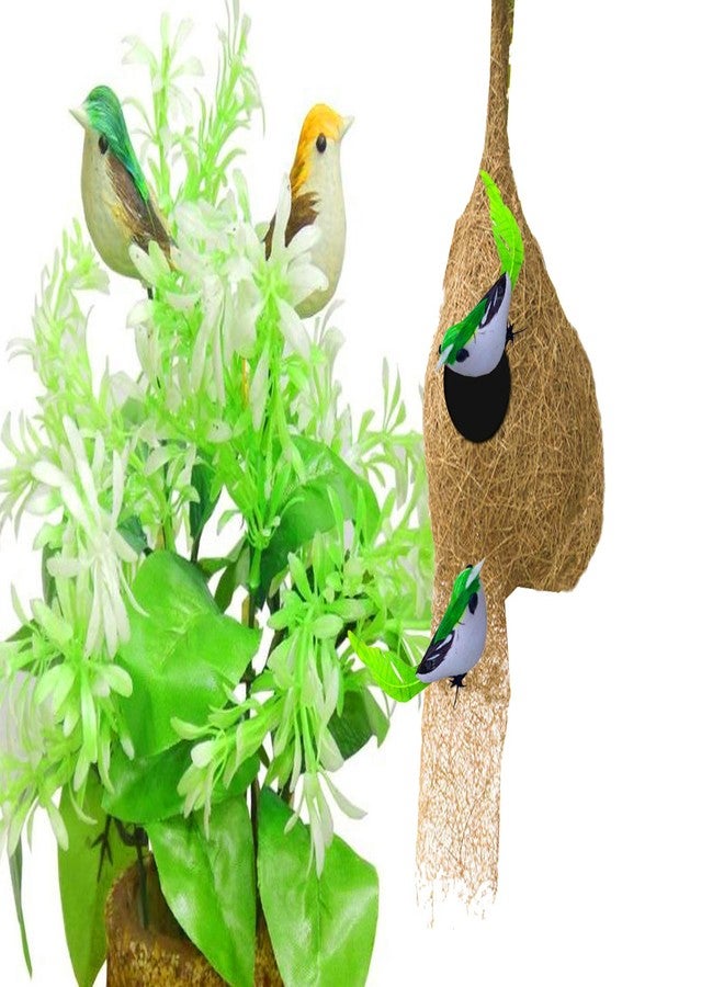 LIVEONCE Weaver Bird nest with Two Birds,Material Type -Coir,Color -Brown, Size (H 28 cm,Diameter 15 cm), Set of 1 - Image 4