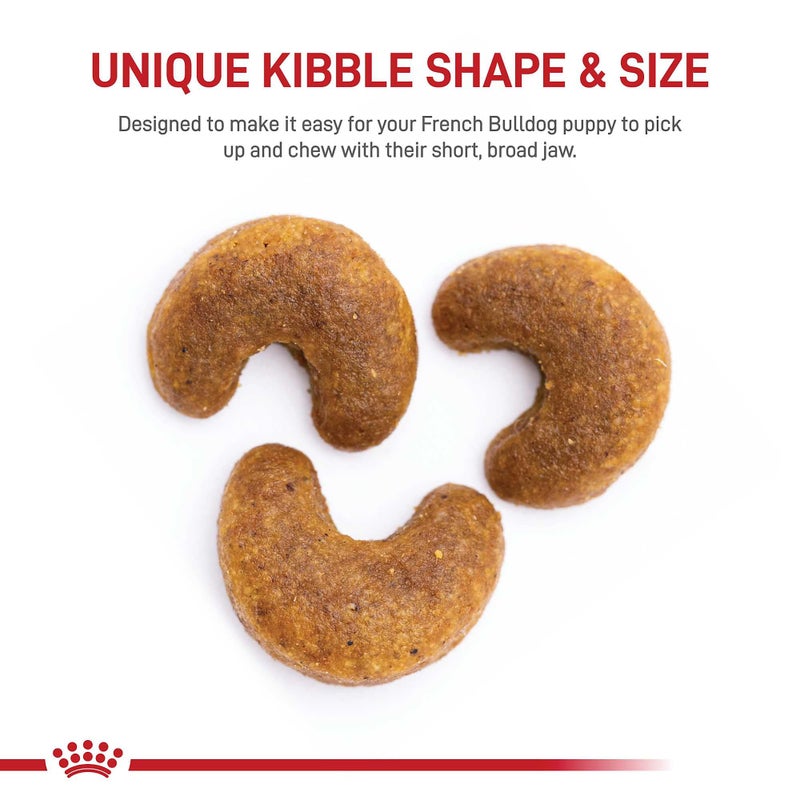 Royal Canin Breed Health Nutrition French Bulldog Puppy Dry Dog Food, 10.5 lb Bag - Image 2