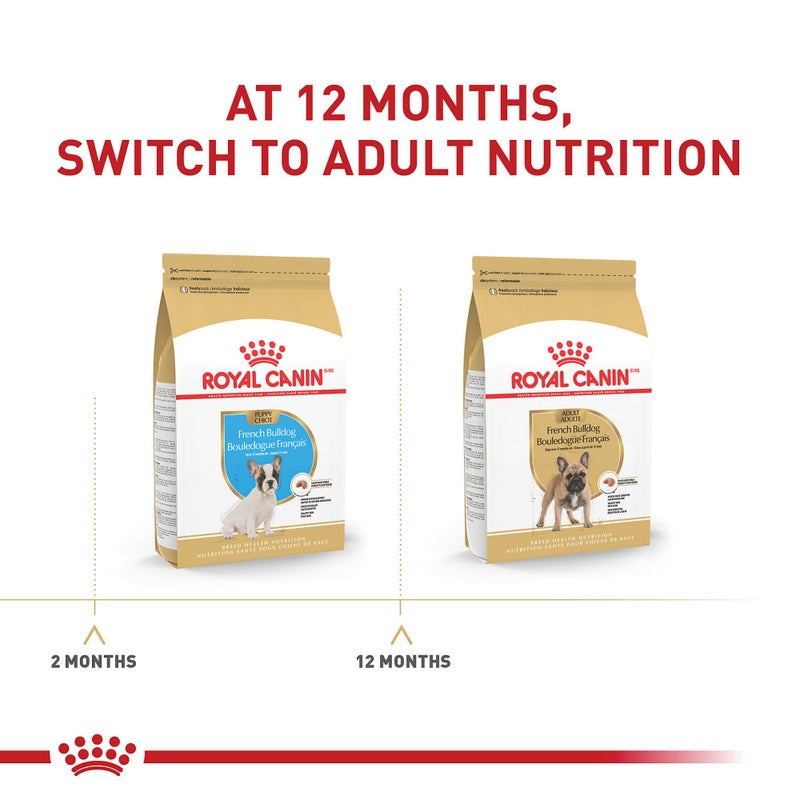 Royal Canin Breed Health Nutrition French Bulldog Puppy Dry Dog Food, 10.5 lb Bag - Image 4