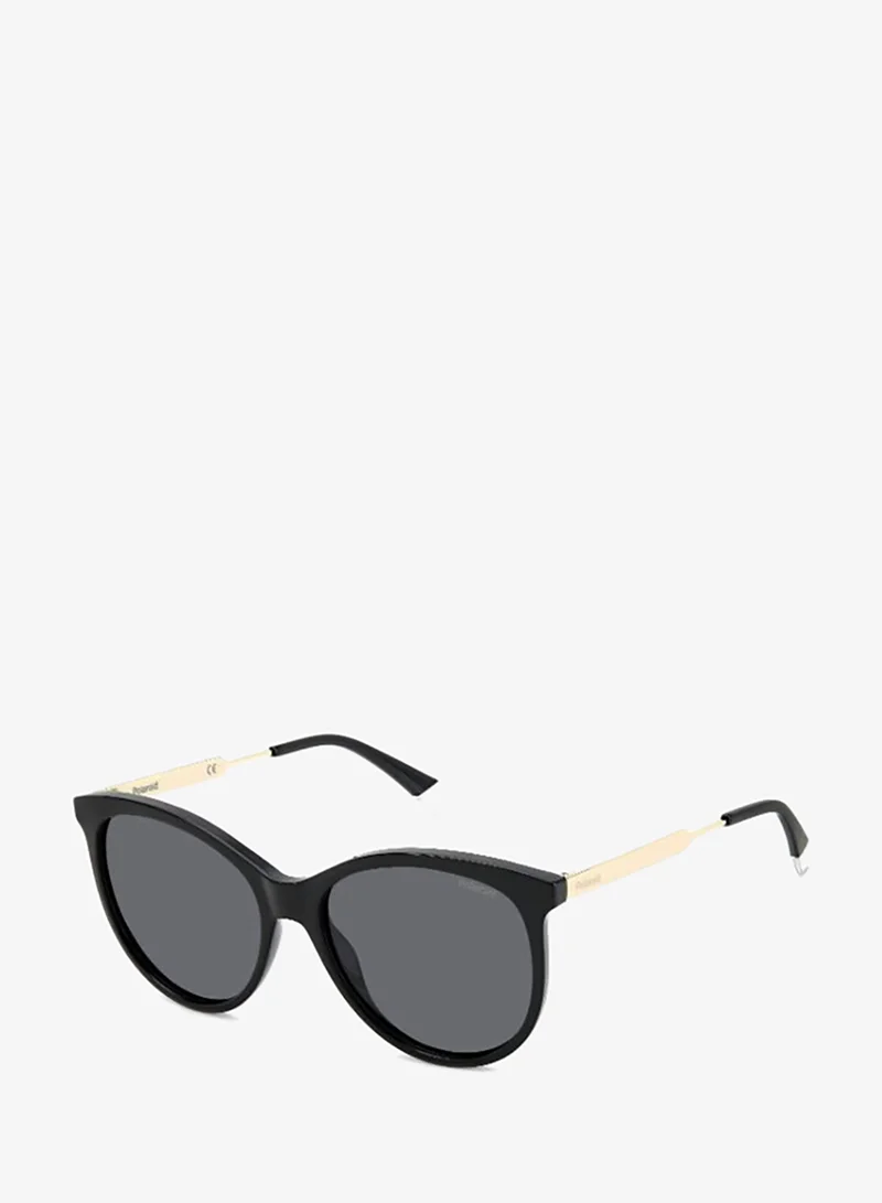 Polaroid  Wayfarers Sunglasses for Women | Best Price UAE