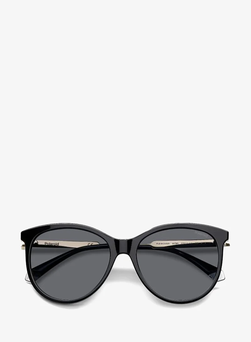 Polaroid  Wayfarers Sunglasses for Women | Best Price UAE