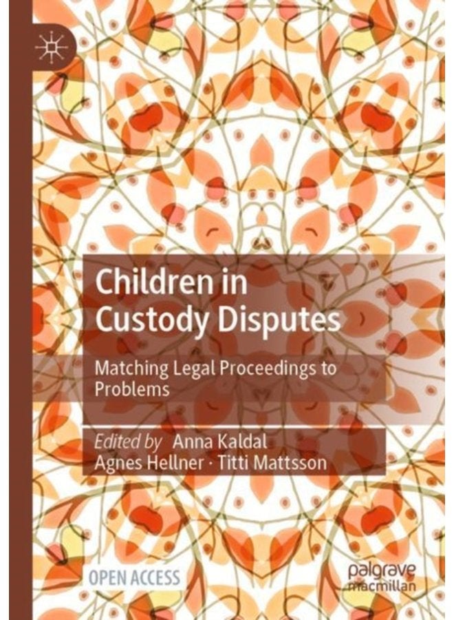 Children in Custody Disputes Matching Legal Proceedings to Problems - Paperback
