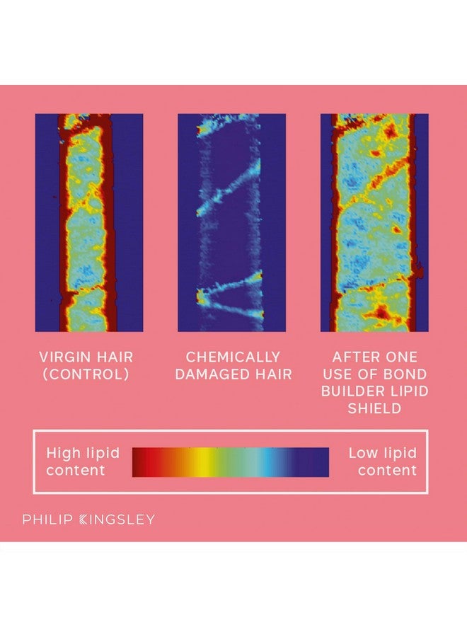 فيليب كينجزلي فيليب كينجسلي، مزيج زيت الشعر المُرمم بوند بيلدر ليبيد شيلد، علاج للشعر الجاف والتالف، مرطب مغذي، خفيف الوزن، يُغذي الشعر ويحميه من الجفاف والتلف، 30 مل - Image 4