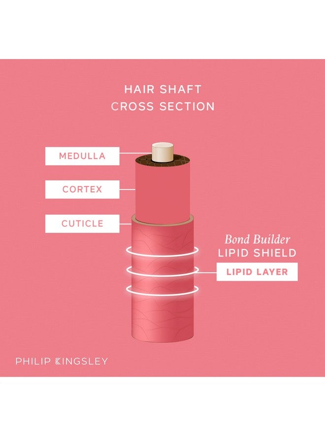 فيليب كينجزلي فيليب كينجسلي، مزيج زيت الشعر المُرمم بوند بيلدر ليبيد شيلد، علاج للشعر الجاف والتالف، مرطب مغذي، خفيف الوزن، يُغذي الشعر ويحميه من الجفاف والتلف، 30 مل - Image 5