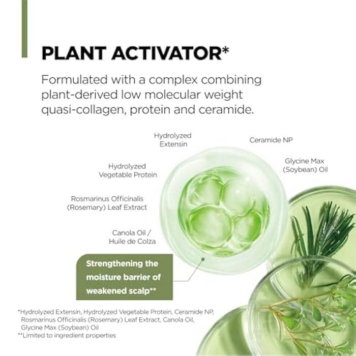 AMOS PROFESSIONAL Botanic Calm Activating Shampoo l Vegan Scalp & Hair Strengthening Shampoo with Rosemary and Biotin, Sulfate Free, 16.9 fl. oz. - Image 5