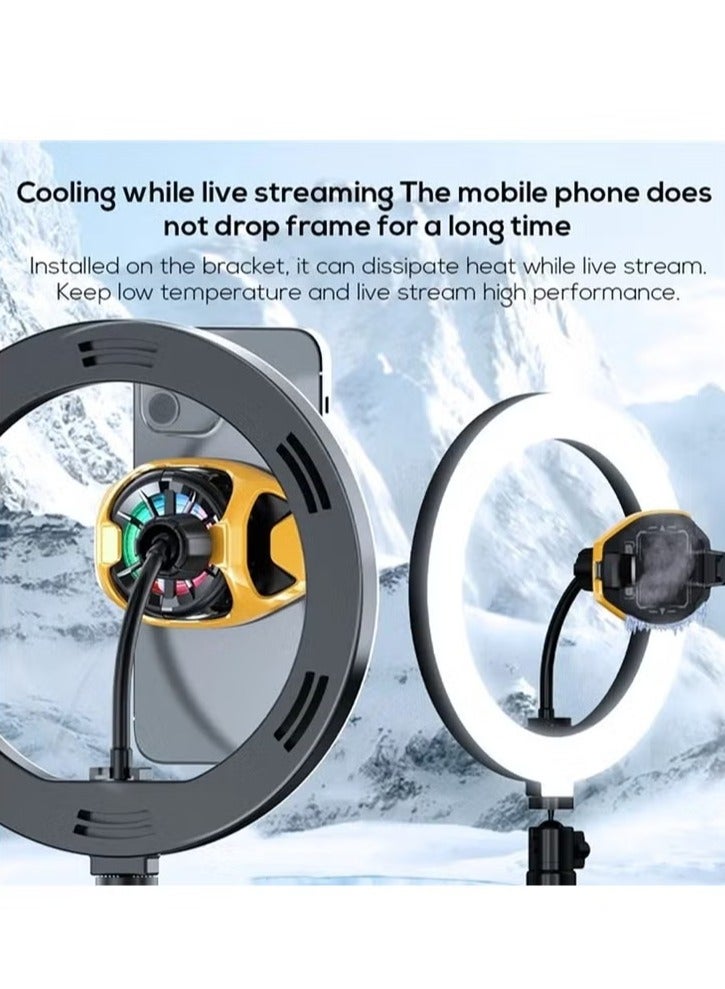 Memo DL22 Mobile Phone Cooling Fan with RGB Lights Adjustable Semiconductor Radiator Cooler - Image 4