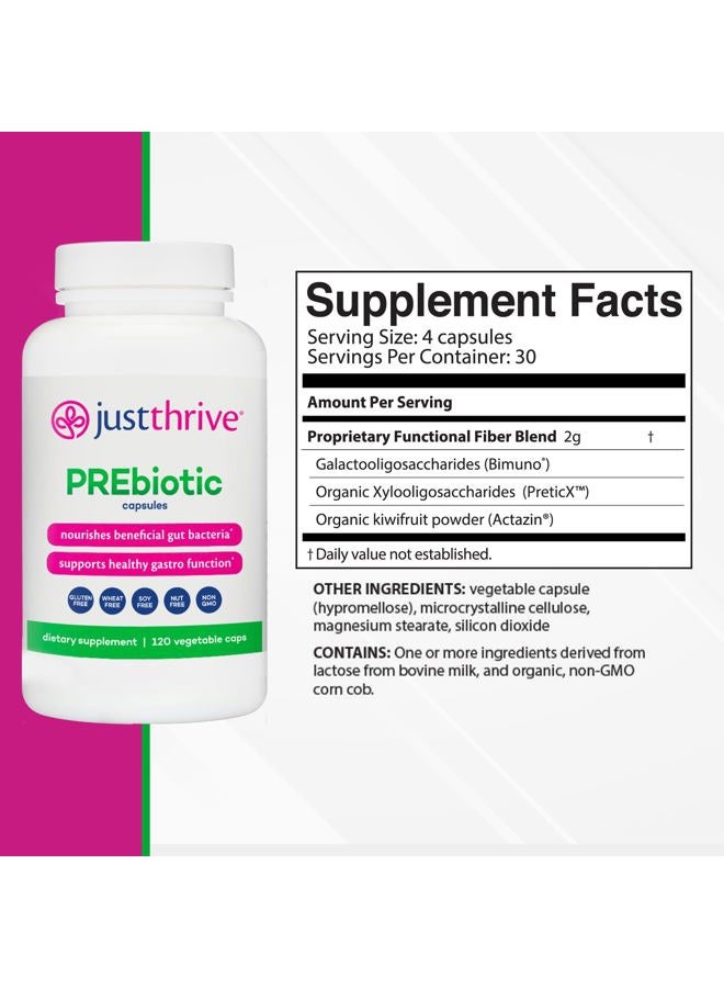 Just Thrive كبسولات بروبيوتيك - مزيج بروبيوتيك لصحة الأمعاء ودعم المناعة، 120 كبسولة - Image 2
