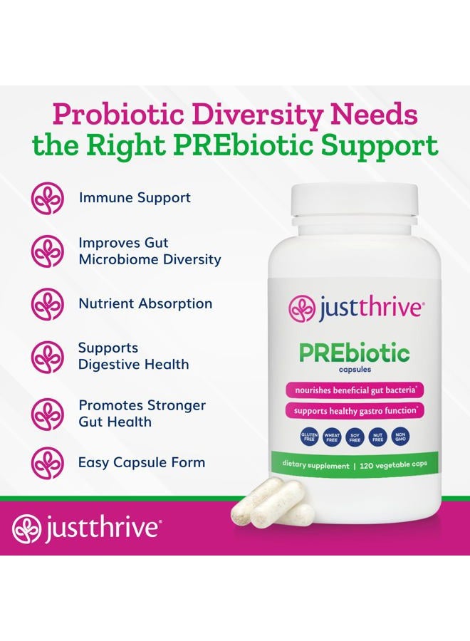 Just Thrive كبسولات بروبيوتيك - مزيج بروبيوتيك لصحة الأمعاء ودعم المناعة، 120 كبسولة - Image 4