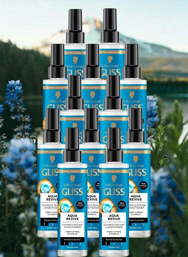 Gliss 12 Pieces Gliss Erc Aqua Revive 200ML - Image 1