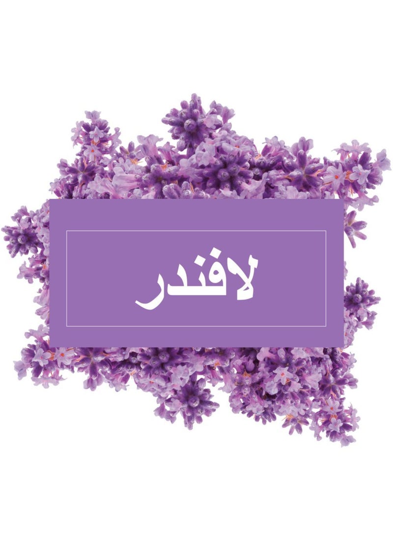 مستر ماسل منظف سائل للأرضيات متعدد الأغراض برائحة اللافندر - Image 5